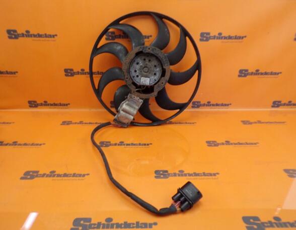 Radiator Electric Fan  Motor AUDI A6 (4F2, C6)