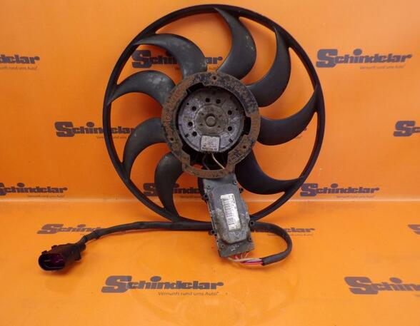Radiator Electric Fan  Motor AUDI A6 (4F2, C6)