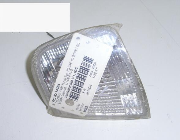 Direction Indicator Lamp PEUGEOT 405 II Break (4E)