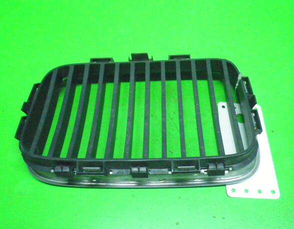 Radiator Grille BMW 3er Compact (E36), BMW 3er (E36)