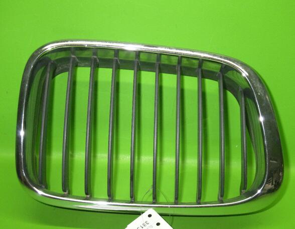 Radiateurgrille BMW 3er Compact (E46)