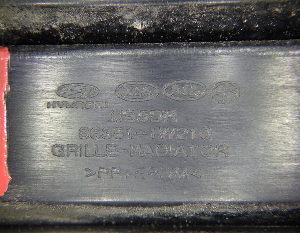 Radiator Grille KIA Rio III (UB)