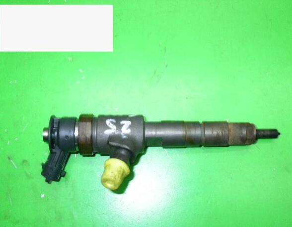 Injector Nozzle FORD Fiesta VI (CB1, CCN), PEUGEOT 206+ (2L, 2M)
