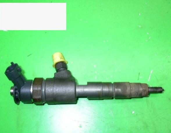 Injector Nozzle FORD Fiesta VI (CB1, CCN), PEUGEOT 206+ (2L, 2M)