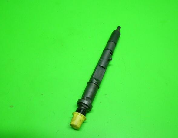 Injector Nozzle AUDI A4 Cabriolet (8H7, 8HE, B6, B7), AUDI A4 Avant (8E5, B6)