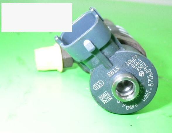 Injector Nozzle PEUGEOT 206+ (2L, 2M), FORD Fiesta VI (CB1, CCN)