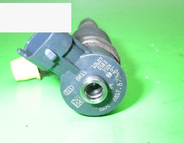 Injector Nozzle PEUGEOT 206+ (2L, 2M), FORD Fiesta VI (CB1, CCN)