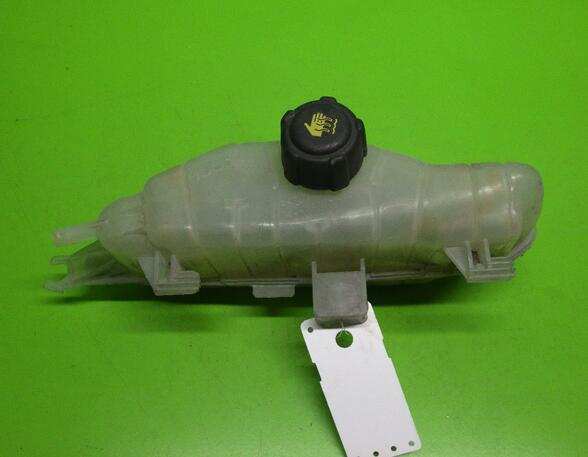 Coolant Expansion Tank RENAULT Clio III (BR0/1, CR0/1), RENAULT Clio IV (BH), RENAULT Modus/Grand Modus (F/JP0)