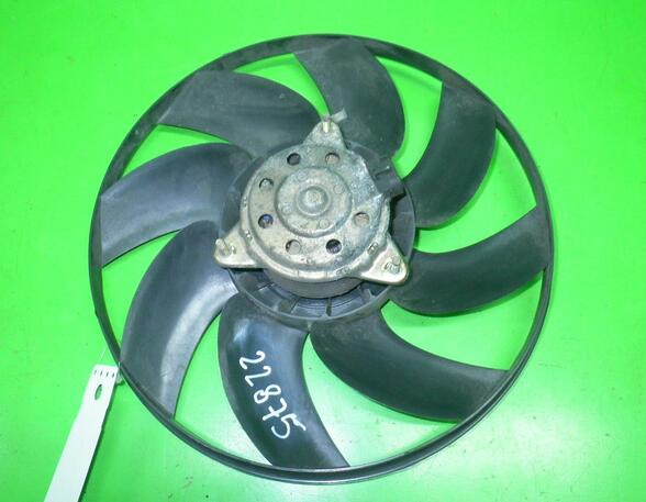 Radiator Electric Fan  Motor FORD Escort VI (GAL), FORD Escort VI (AAL, ABL, GAL), FORD Escort VII Turnier (ANL, GAL)