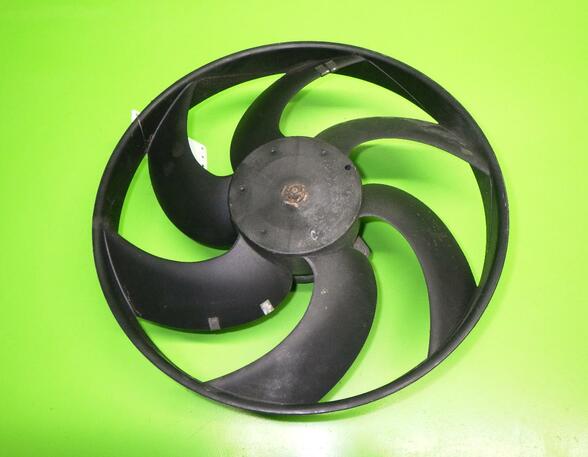 Radiator Electric Fan  Motor FORD Escort VI (AAL, ABL, GAL)