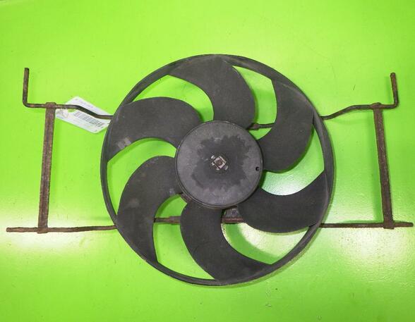 Radiator Electric Fan  Motor CITROËN Xsara (N1)