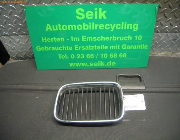 Radiator Grille BMW 3 Compact (E36)