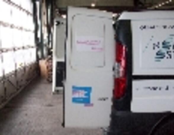 Rear Door FIAT DOBLO Cargo (223_)
