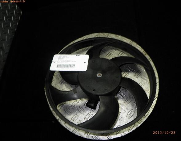 Radiator Electric Fan  Motor CITROËN C2 (JM)