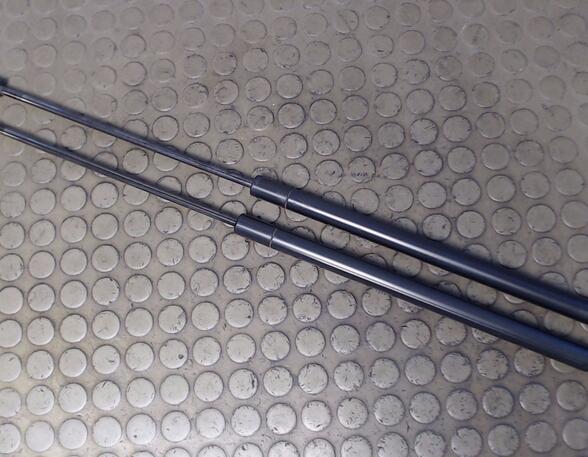Bootlid (Tailgate) Gas Strut Spring VW New Beetle (1C1, 9C1)