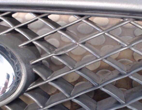 Radiator Grille FORD Focus II Turnier (DA, DS, FFS)