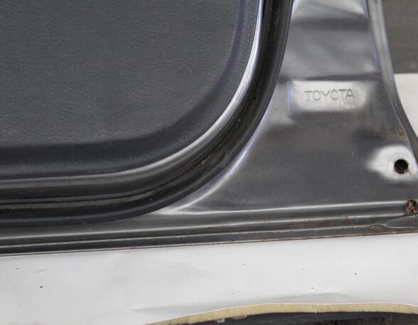 Trim Strip Door TOYOTA Corolla Compact (E9)