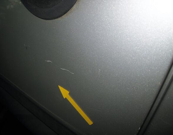 Sierpaneel deur FIAT Doblo Großraumlimousine (119, 223)