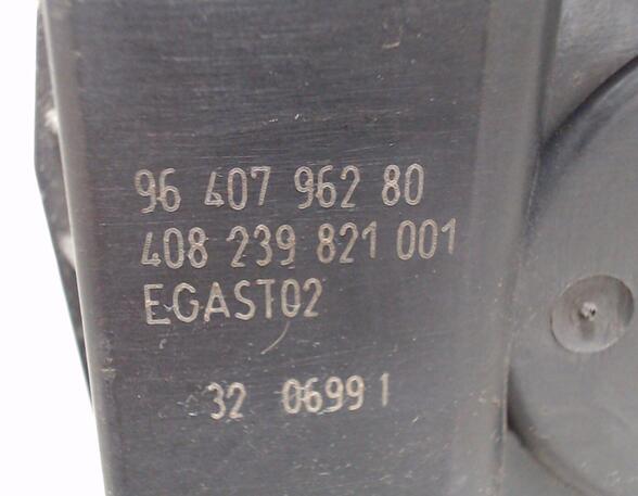 Stel element gasklep PEUGEOT 206+ (2L, 2M)