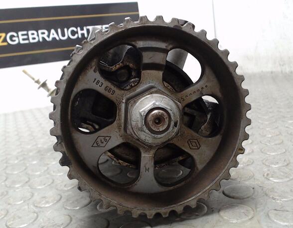 Timing Chain RENAULT Clio III (BR0/1, CR0/1)