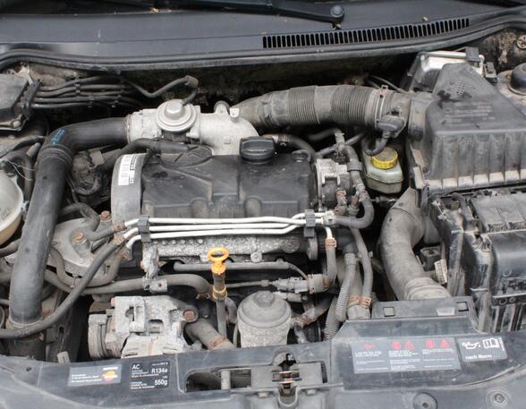 Motor kaal SEAT Ibiza III (6L1)
