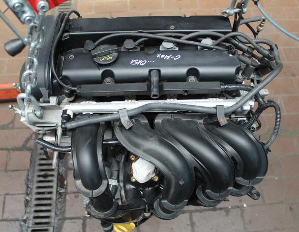 MOTOR HWDA  (Motor) Ford Focus Benzin (DM2) 1596 ccm 74 KW 2005>2006