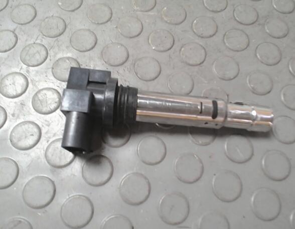 Ignition Coil VW Golf V (1K1)