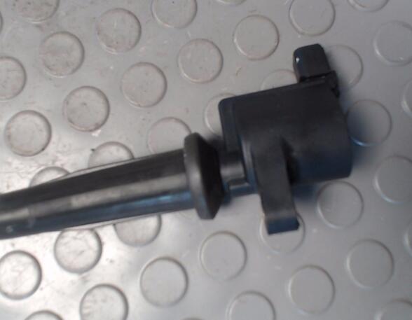 Ignition Coil FORD Focus C-Max (--)