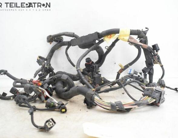 Engine Wiring Harness JAGUAR S-Type (X200)