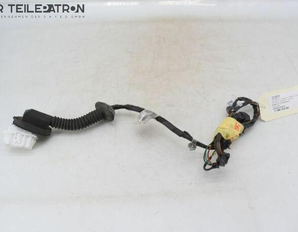 Door Wiring Harness HYUNDAI i10 (PA)