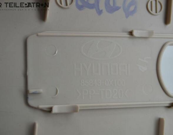 Door Card (Door Panel) HYUNDAI i10 (PA)