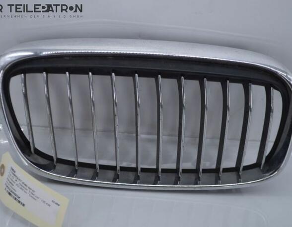 Radiator Grille BMW 3er Cabriolet (E46)