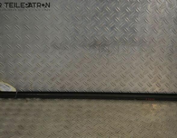 Fensterschachtleiste Schachtleiste links vorn Leiste FIAT 500 (312_) 1.2 51 KW