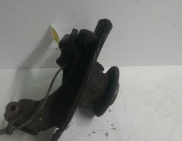 Stub Axle BMW X1 (E84)