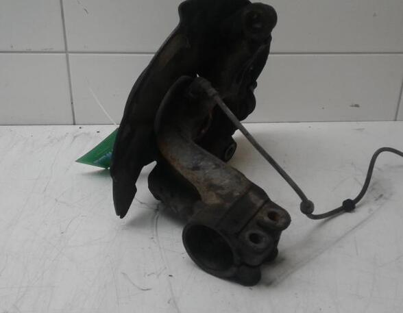 Stub Axle VW Multivan V (7EF, 7EM, 7EN, 7HF, 7HM, 7HN)