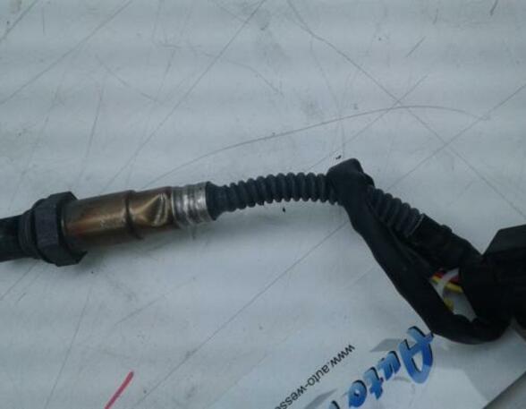 Lambda Sensor FORD Focus II (DA, DP, HCP)