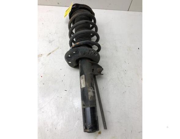 Suspension Strut VW Passat Alltrack (365), VW Passat Variant (365)