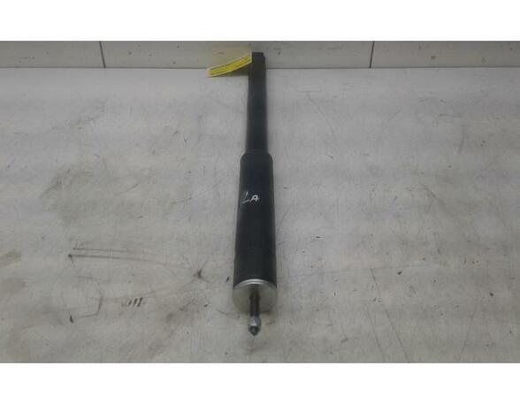 Shock Absorber SUZUKI SX4 S-Cross (JY)