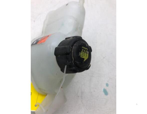 Coolant Expansion Tank NISSAN Qashqai II SUV (J11, J11)