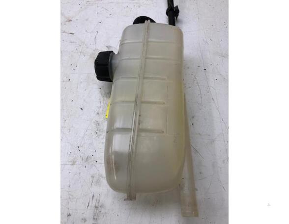 Coolant Expansion Tank RENAULT Zoe (BFM)