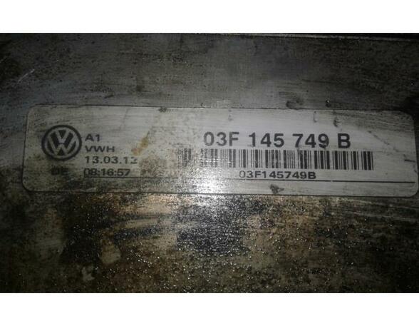 P14468272 Ladeluftkühler VW Golf VI (5K) 03F145749B