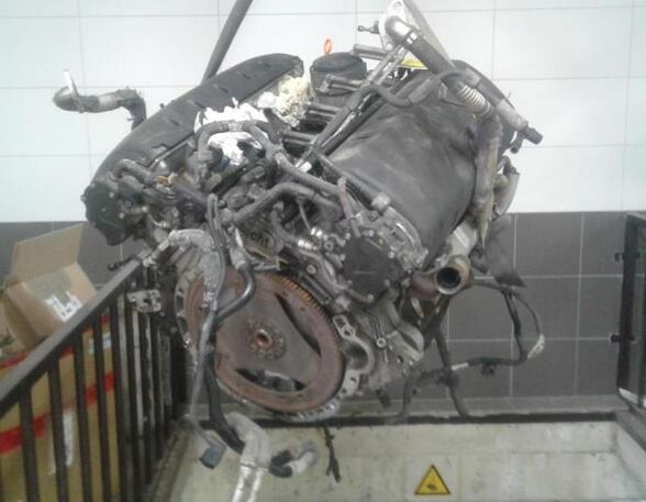 P2272251 Motor ohne Anbauteile (Diesel) VW Touareg I (7L)