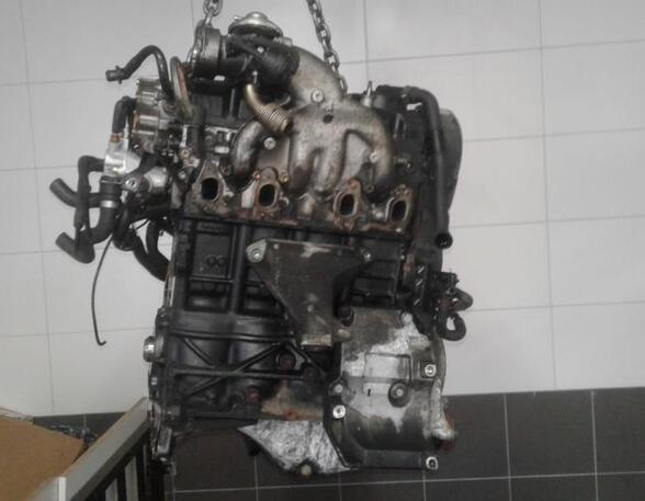 P10725220 Motor ohne Anbauteile (Diesel) VW Passat Variant (3B6, B5.5)
