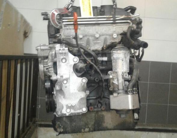 P10761690 Motor ohne Anbauteile (Diesel) VW Passat B6 Variant (3C5)