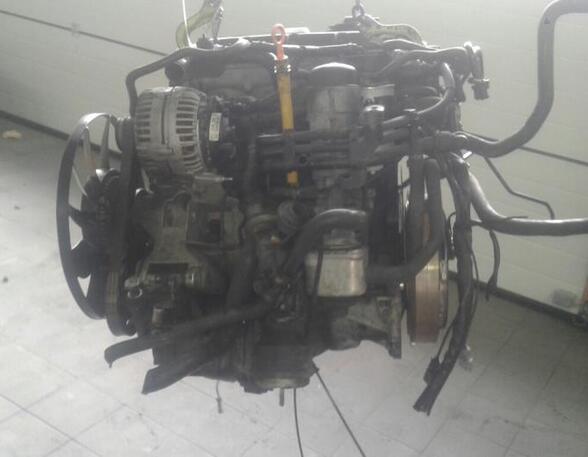 P12053752 Motor ohne Anbauteile (Diesel) VW Passat Variant (3B5, B5)