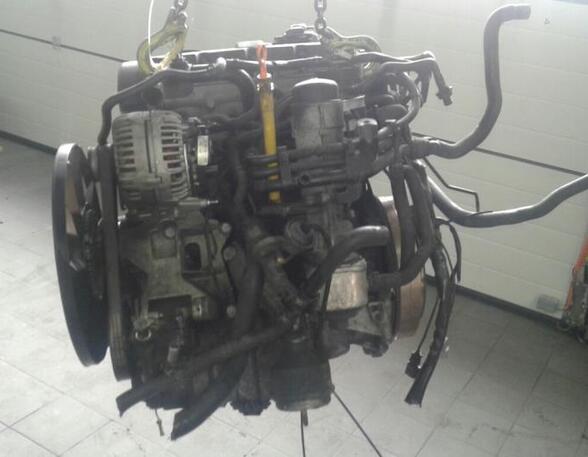 P12053752 Motor ohne Anbauteile (Diesel) VW Passat Variant (3B5, B5)