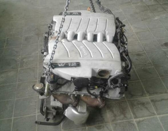 P15560694 Motor ohne Anbauteile (Benzin) VW Phaeton (3D) 07C100031BX