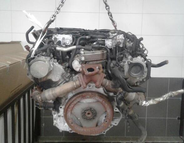 P5302688 Motor ohne Anbauteile (Diesel) AUDI A6 Avant (4F, C6)
