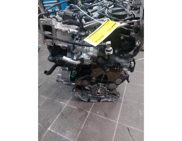 P19843412 Motor ohne Anbauteile (Diesel) AUDI A4 Avant (8W, B9) 04L103064E