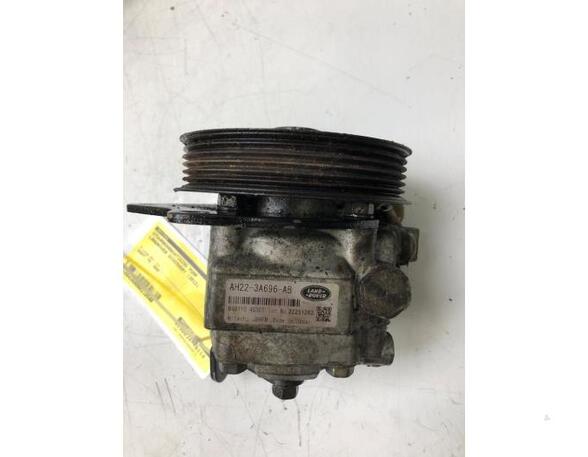 Power steering pump LAND ROVER Discovery IV (LA), LAND ROVER Discovery III (LA)